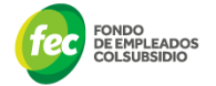https://fecolsubsidio.com/